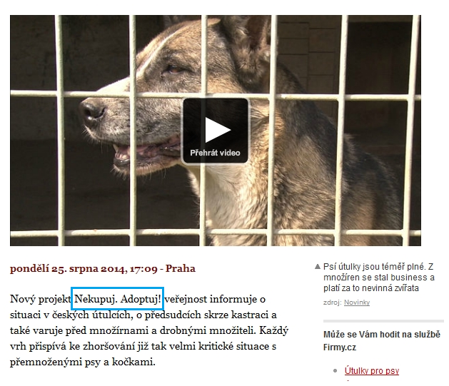 Odvolávejte se na úspěšný obsah – novinky.cz Odvolávejte se na úspěšný obsah – novinky.cz